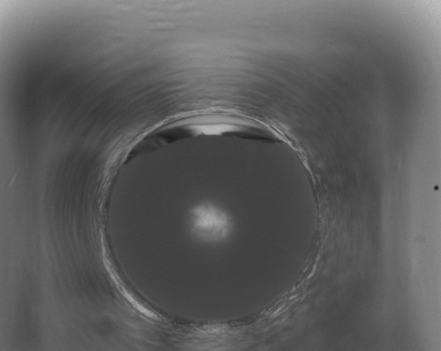 X0000068290097200604281654