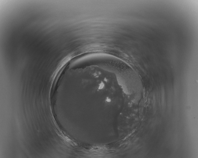 X0000068290099200604281654