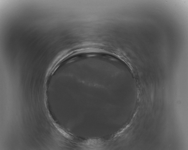 X0000068290101200604281654