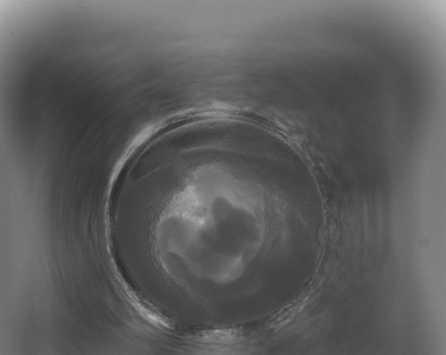 X0000068290102200604281654