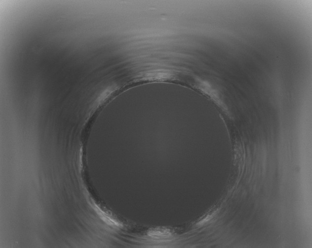 X0000068290110200604281654