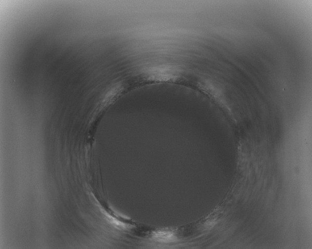X0000068290114200604281654