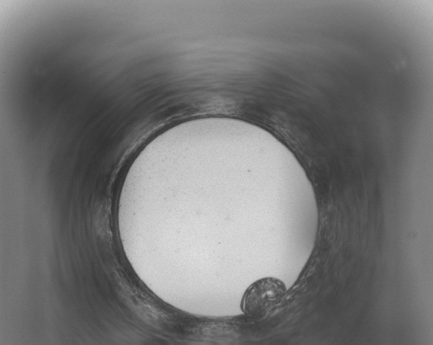 X0000068290146200604281652