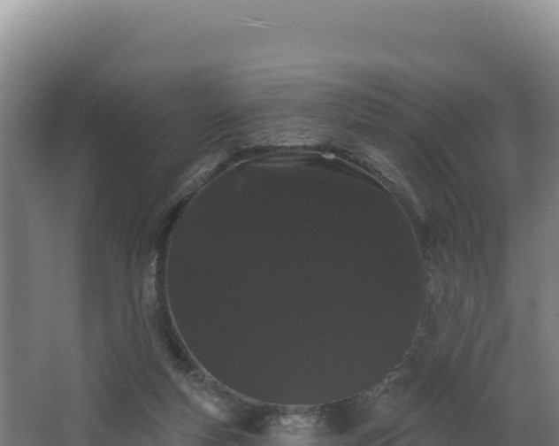 X0000068290163200604281653