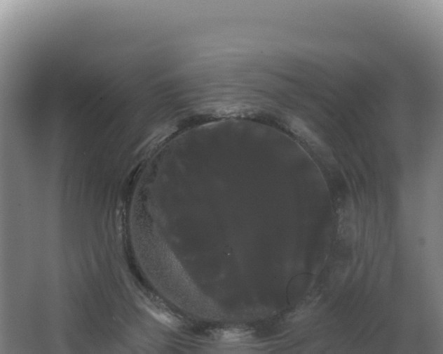 X0000068290165200604281653