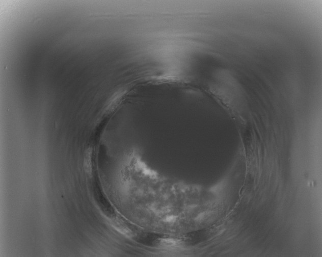 X0000068290167200604281653