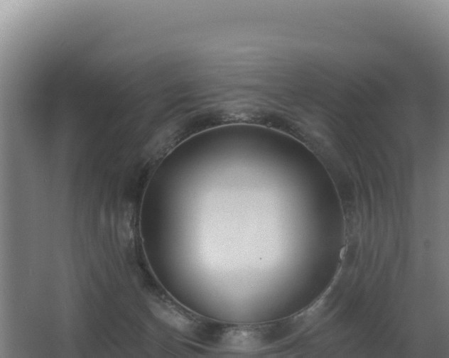 X0000068290174200604281653