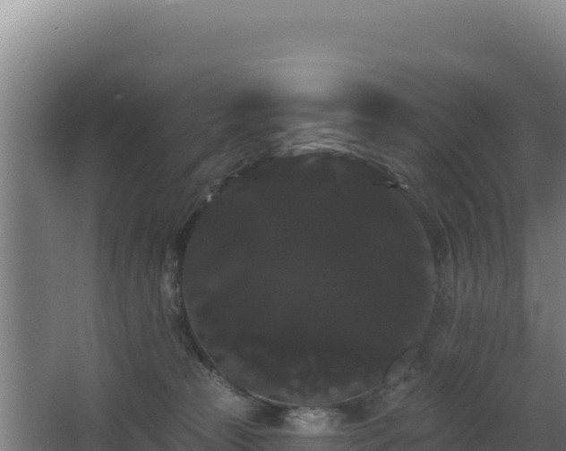 X0000068290181200604281653