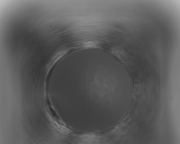 X0000068290194200604281652