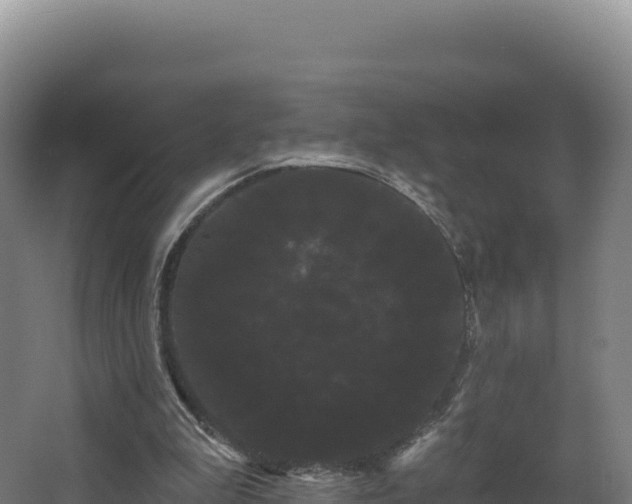X0000068290199200604281652