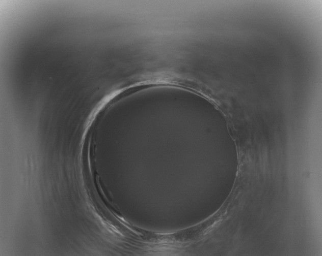 X0000068290200200604281652