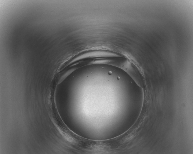X0000068290201200604281652