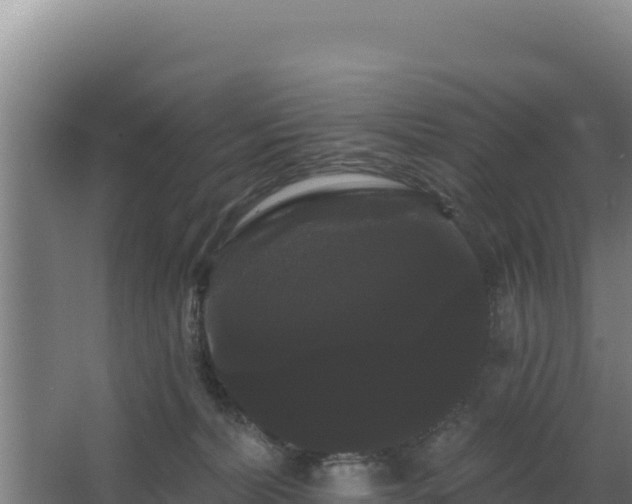 X0000068290228200604281652