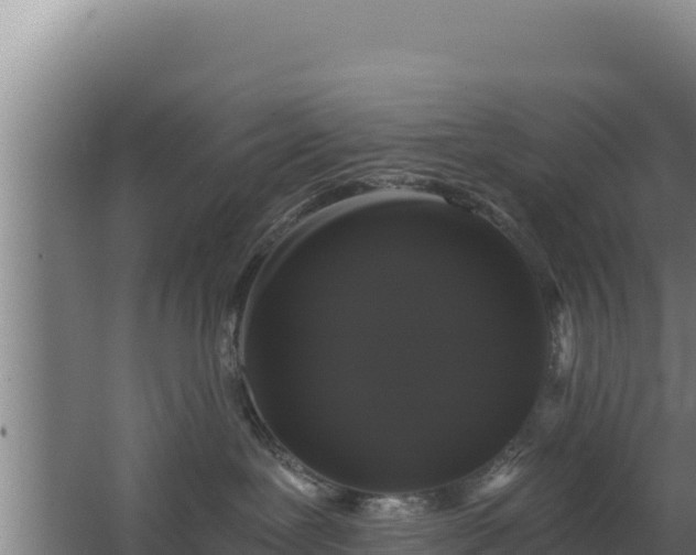 X0000068290239200604281651