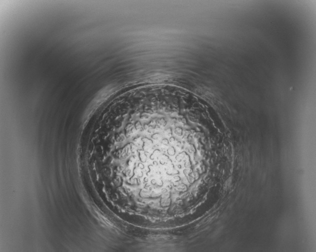 X0000068290242200604281651