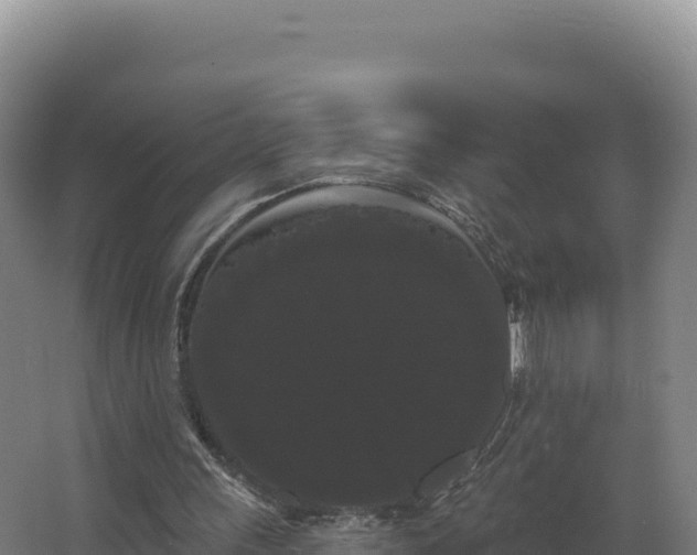 X0000068290243200604281651