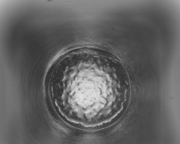 X0000068290246200604281651