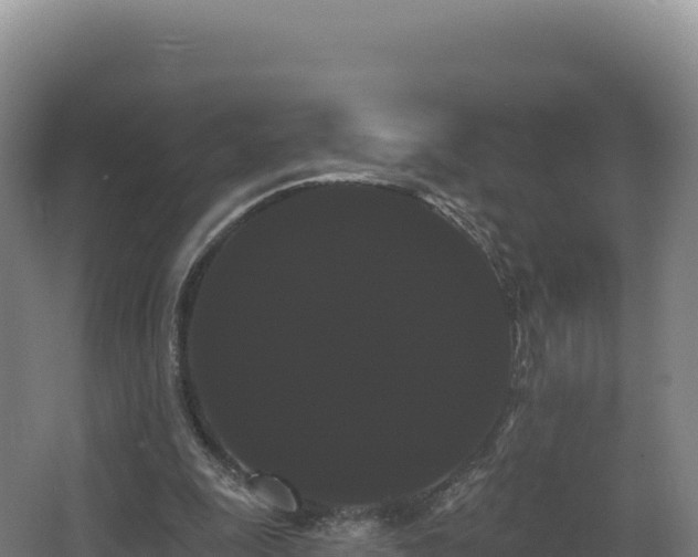 X0000068290247200604281651