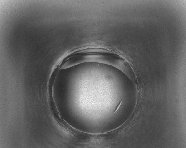 X0000068290248200604281651
