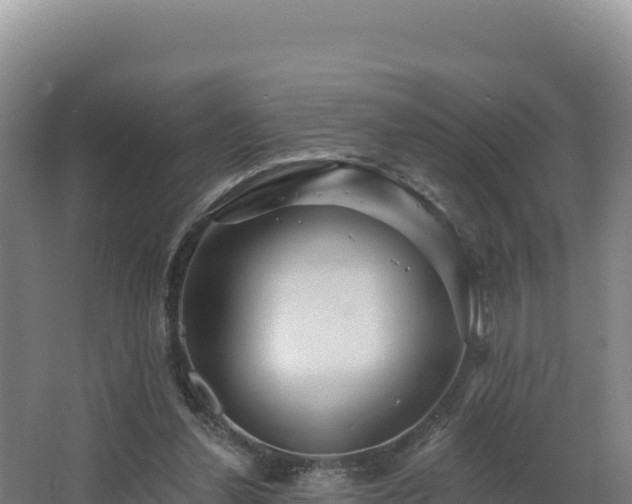 X0000068290252200604281651