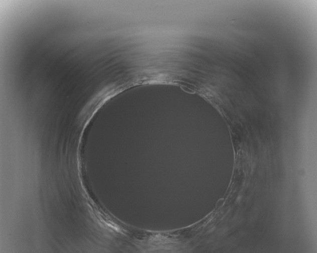 X0000068290290200604281651
