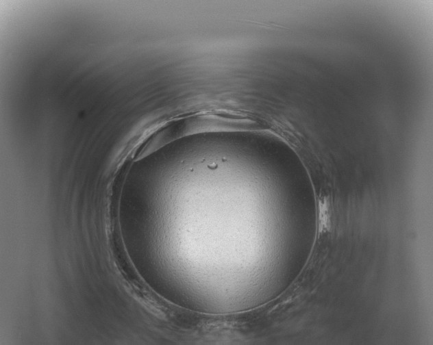 X0000068290291200604281651