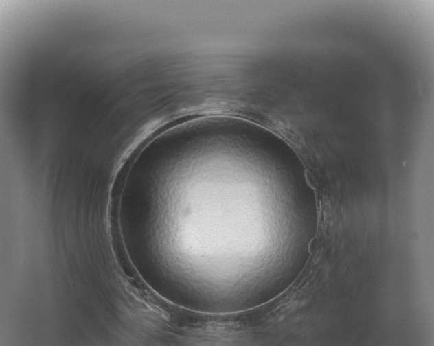 X0000068290292200604281651
