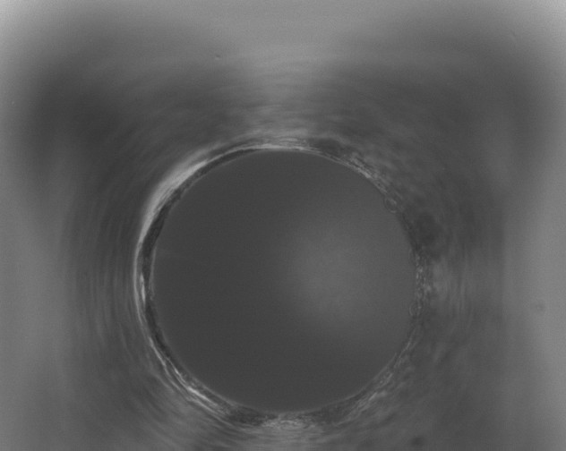 X0000068290294200604281651