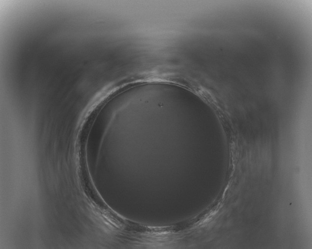 X0000068290295200604281651