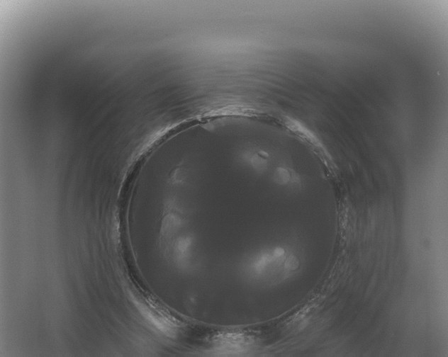 X0000068290298200604281650