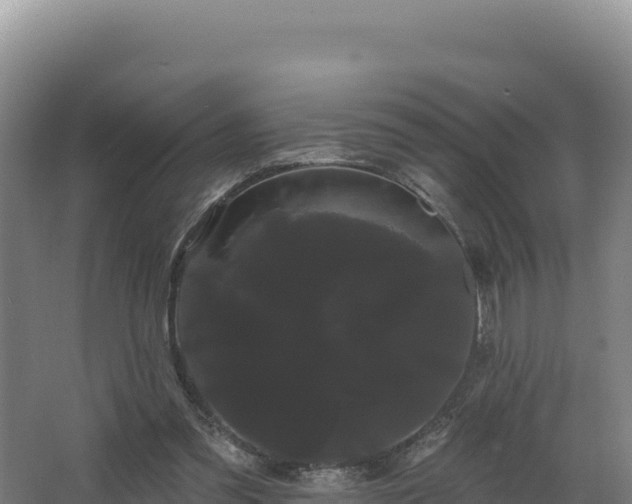 X0000068290301200604281650