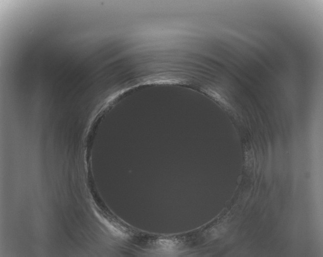 X0000068290302200604281650