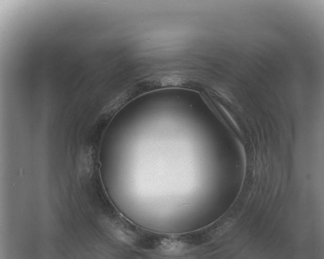 X0000068290311200604281650