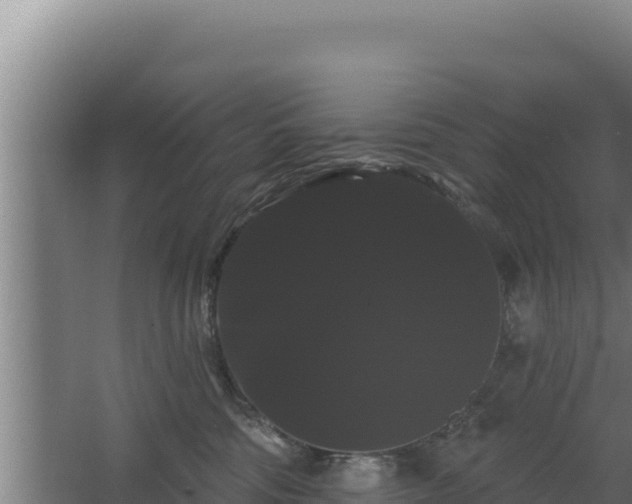 X0000068290330200604281650