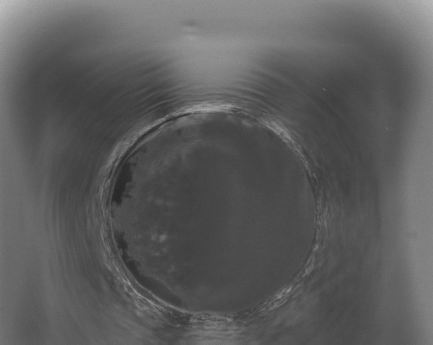 X0000068290337200604281649