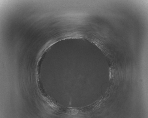X0000068290339200604281649