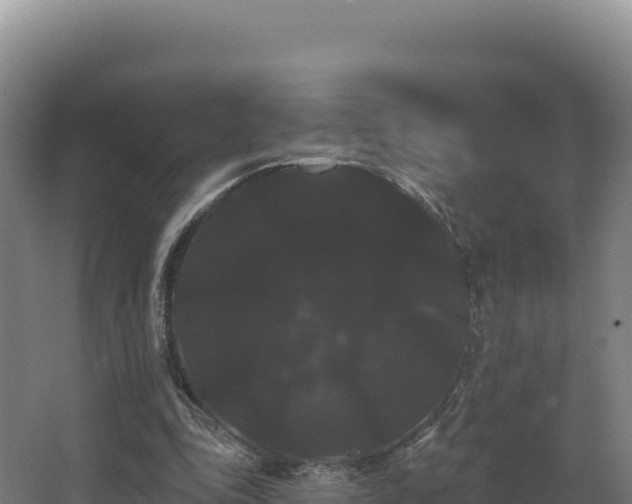X0000068290343200604281649