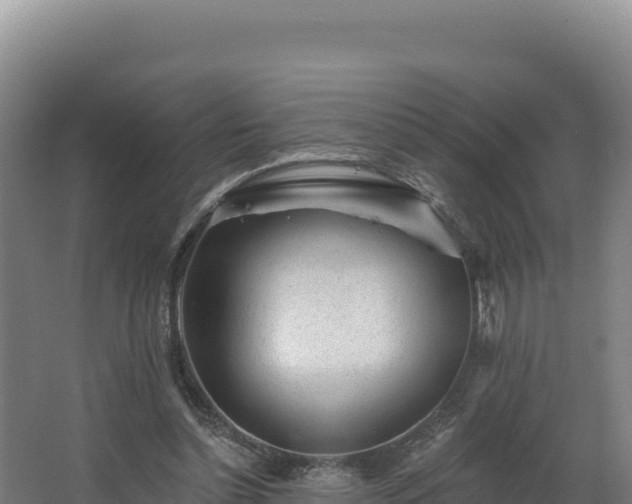 X0000068290348200604281649