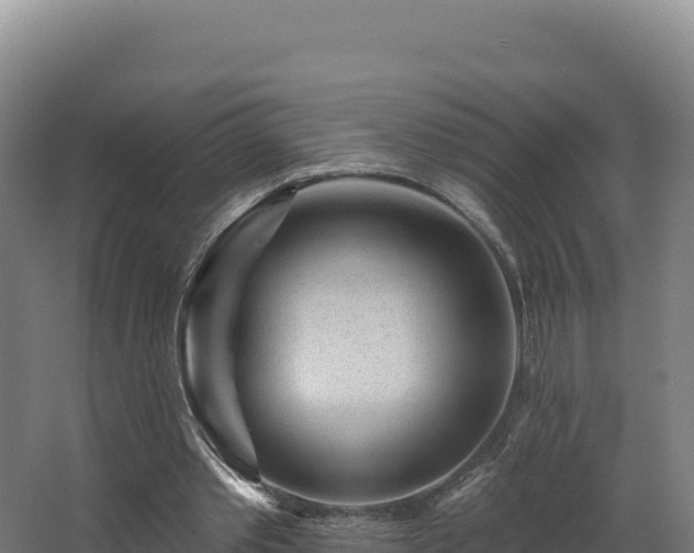 X0000068290389200604281649