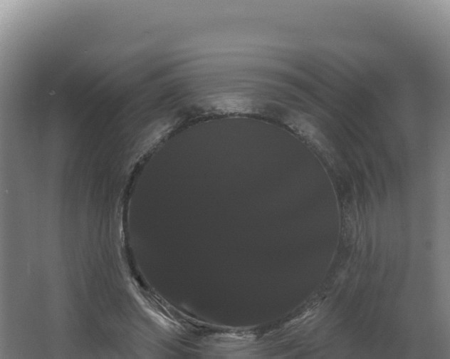 X0000068290398200604281649