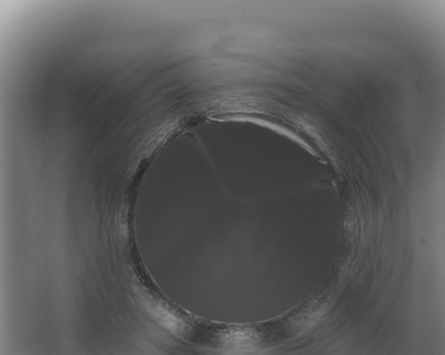 X0000068290402200604281649