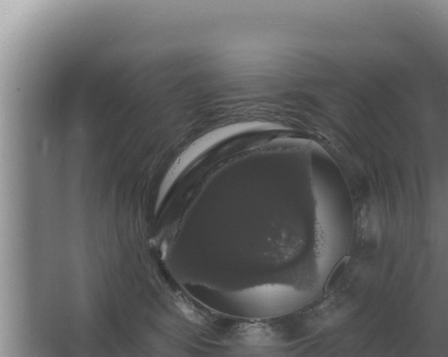 X0000068290424200604281648