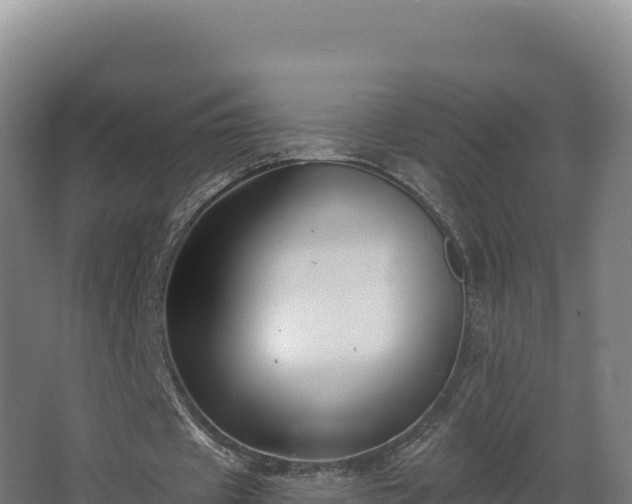 X0000068290433200604281647