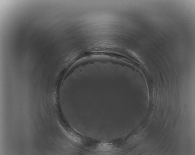 X0000068290451200604281648