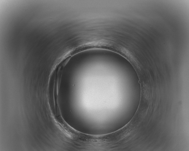 X0000068290486200604281647