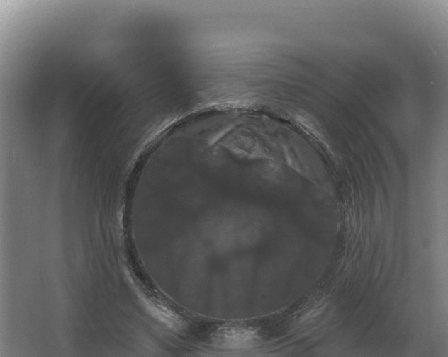 X0000068290491200604281647