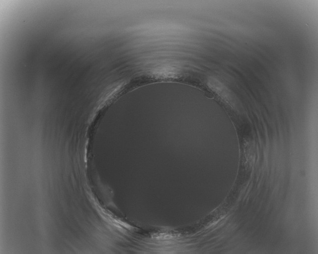X0000068290494200604281647