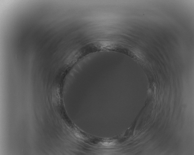 X0000068290506200604281647