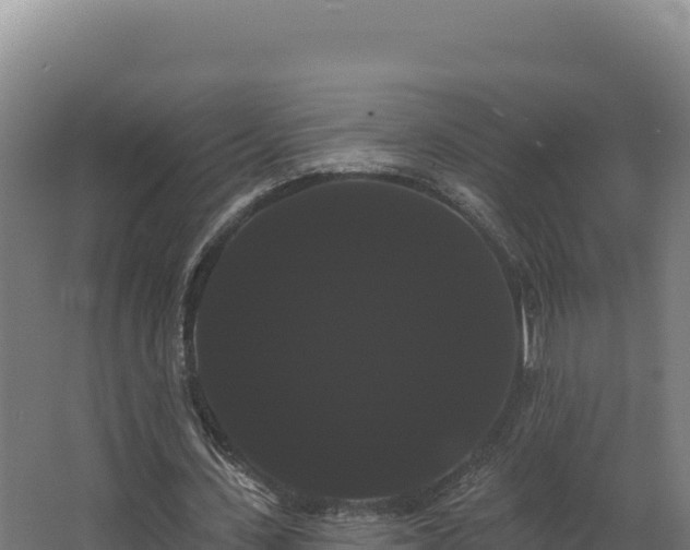 X0000068290531200604281646