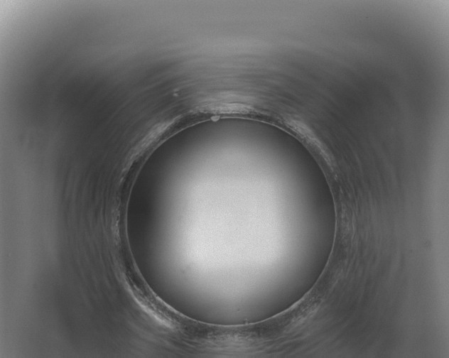 X0000068290533200604281646